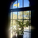 Light. A prayer for peace.