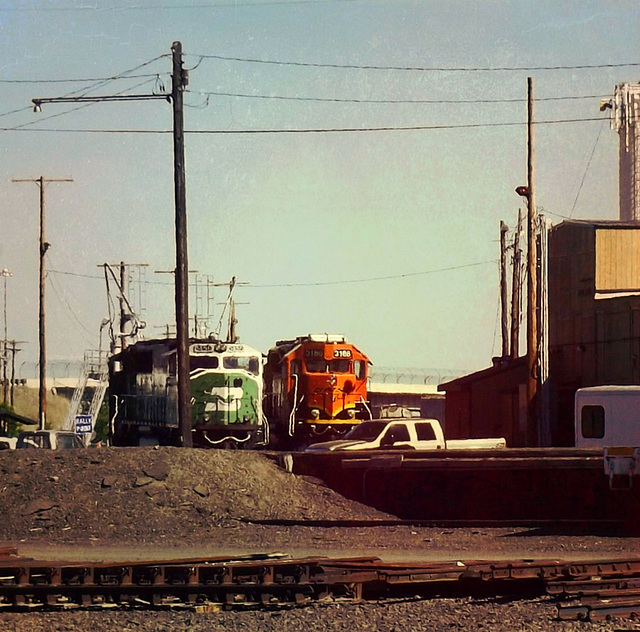 Pair on the siding