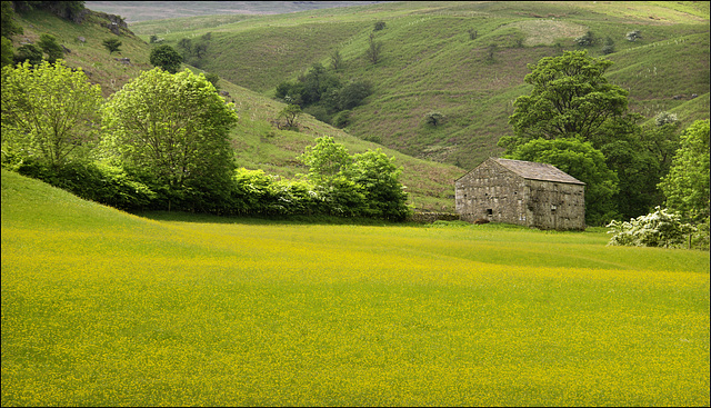 A Dales Barn