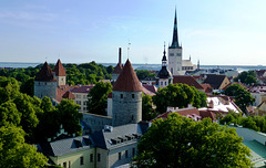 EE - Tallinn - View from Cathedral Hill