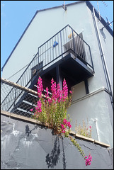 brightening up the fire escape