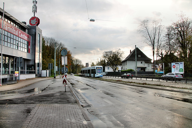 B226 Dorstener Straße (Bochum-Hofstede) / 11.11.2023