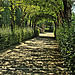 Würzburg Hofgarten der Residenz