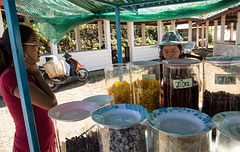 Stall at the viewpoint above Pai