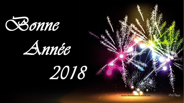 bonne année a toutes et à tous