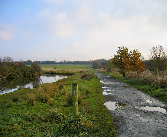 Looking along Swan Pool towards Park Lane