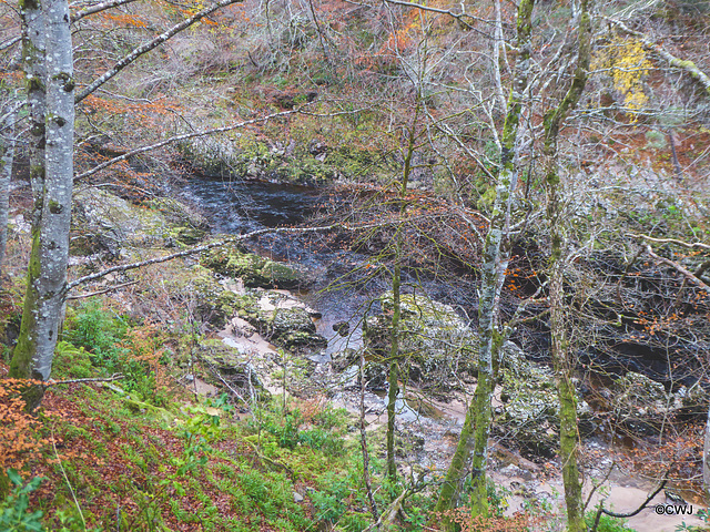 The Dunearn Burn walk - Earl of Moray's estate