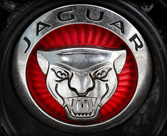 jaguarrrr...