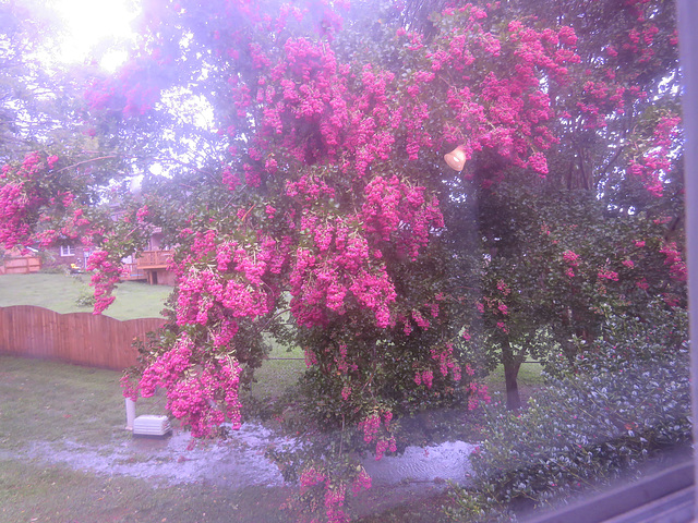 RAINS