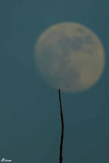 J'espérais décrocher la lune