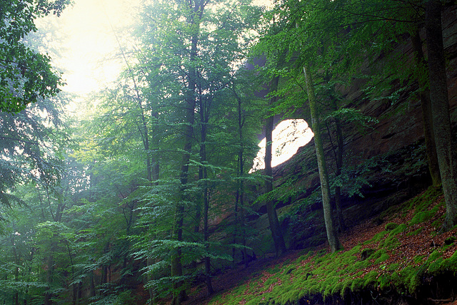 Arche de l'Erbsenfels