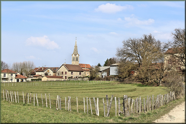 Chozeau (38) 16 avril 2015.