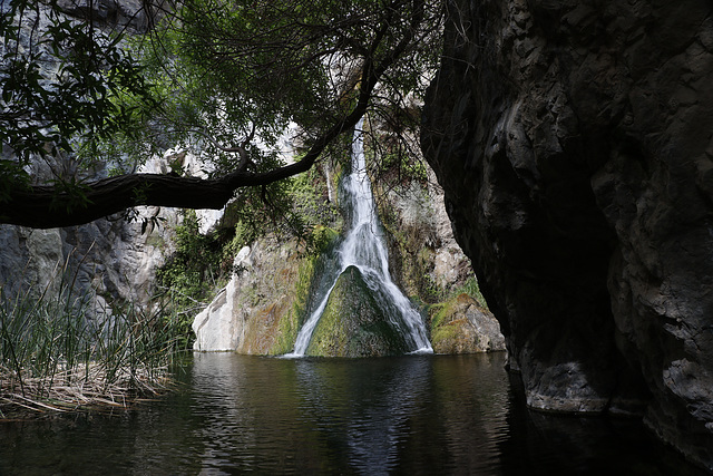 Darwin Falls