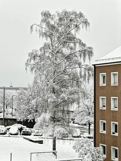 Heute früh (8. 02. 2021)