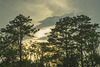 Evening Storm Clouds