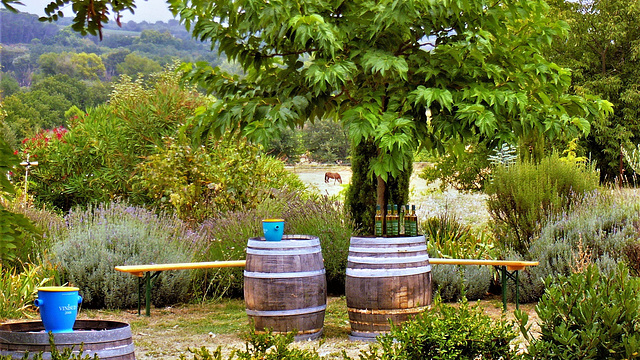 Weingut-Besuch