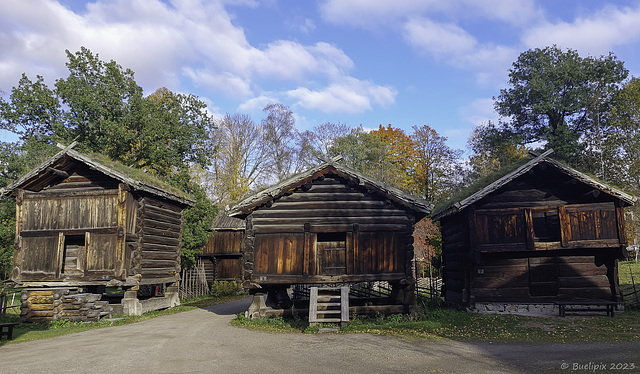 im Norsk Folkemuseum (© Buelipix)