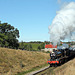 Collet GWR 4900 class Hall 4953 PITCHFORD HALL at Abbots House with 2P03 10.35 Grosmont  Pickering 28.9.24.