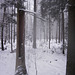 021 Winter in der Dresdner Heide