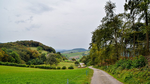 Herzberg-Schweizer Jura