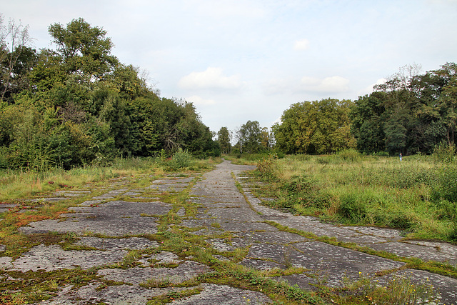 Zeche Wilhelmine Mevissen, alte Straße auf dem ehem. Gelände der Schachtanlage Rumeln (Duisburg-Rumeln-Kaldenhausen) / 22.09.2017