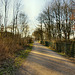 Stausee-Rundweg (Haltern am See) / 24.02.2019