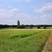 Felder bei Holthausen (Dortmund) / 22.06.2019