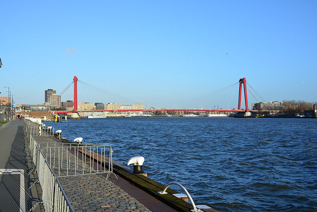 Rotterdam 2015 – Nieuwe Maas and Willemsbrug