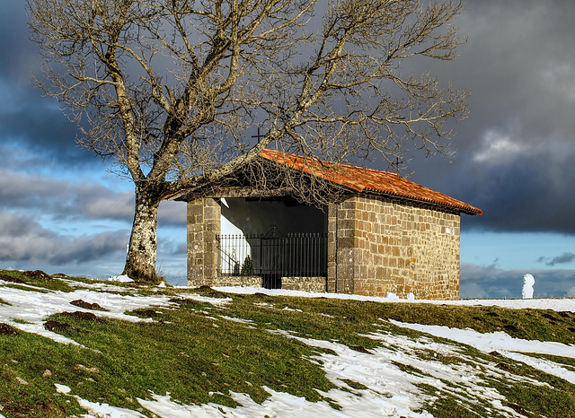 La ermita y el fresno.