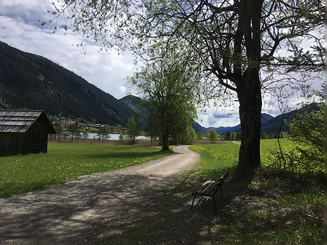 Naturpark  am Weissensee