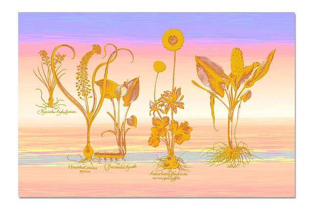 Primeval plants - with a background of pastel shades