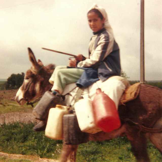 Jeune marocaine avec son âne (1986)