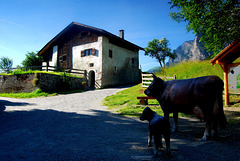 Heidi's  house, Switzerland