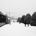 Botanic Gardens in the Snow