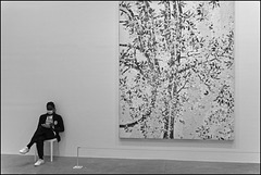 "Cerisiers en fleurs" Damien Hirst (4)