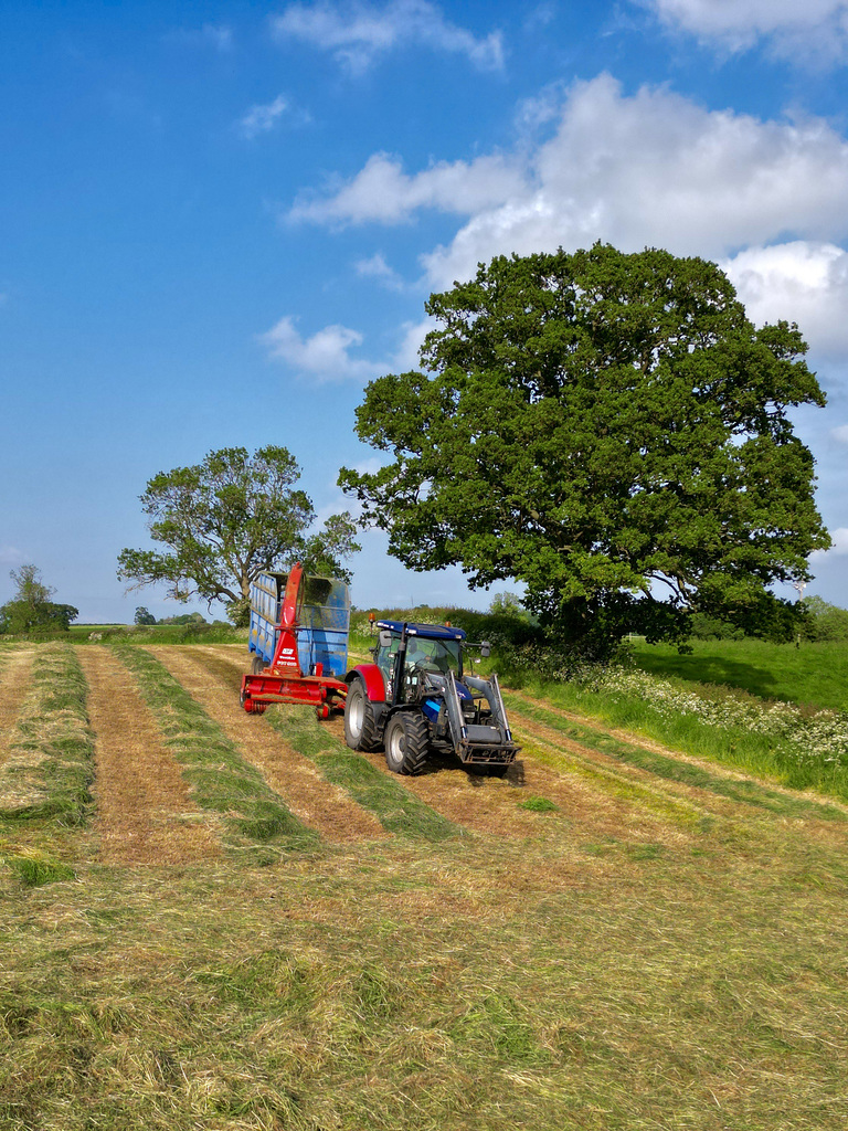 Silaging