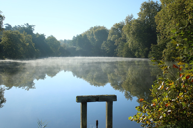 un matin d' automne ....