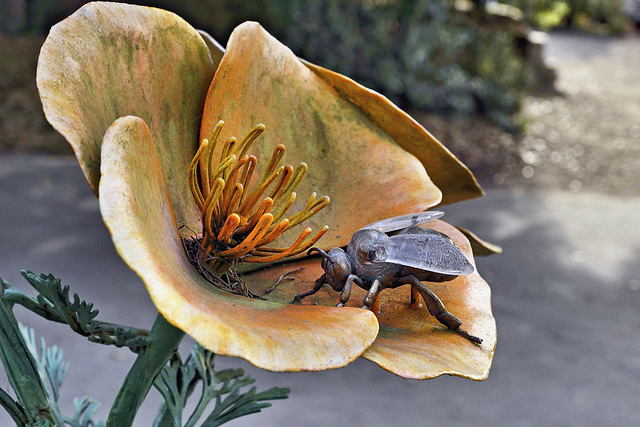 Iron Bumble Bee – San Francisco Botanical Garden, Golden Gate Park, San Francisco, California
