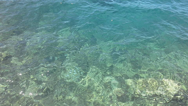 The superb clear water