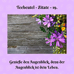 Teebeutel - Zitate - 19.