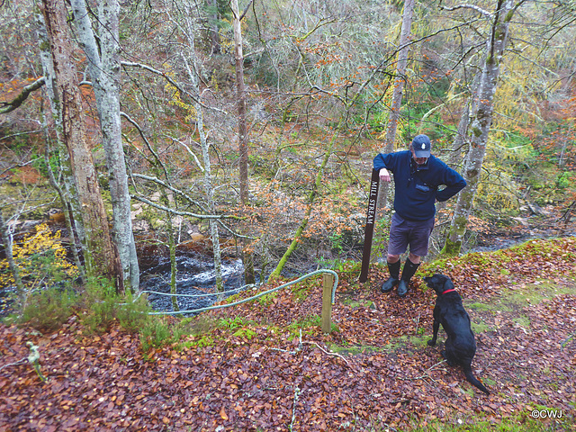 The Dunearn Burn walk - Earl of Moray's estate