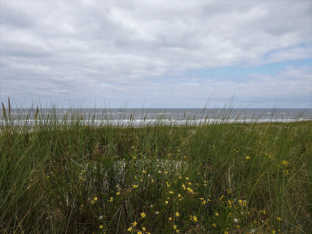 Spiekeroog: Nordsee, Strand und Dünen