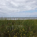 Spiekeroog: Nordsee, Strand und Dünen