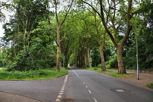 Arminstraße (Oberhausen-Osterfeld) / 21.05.2022