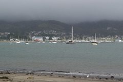 Pillar Point Harbor (#0045)