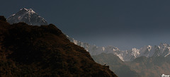 Région des Annapurnas - Népal