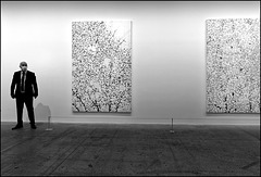 "Cerisiers en fleurs" Damien Hirst (5)
