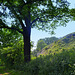 Near Blankenberger quarry