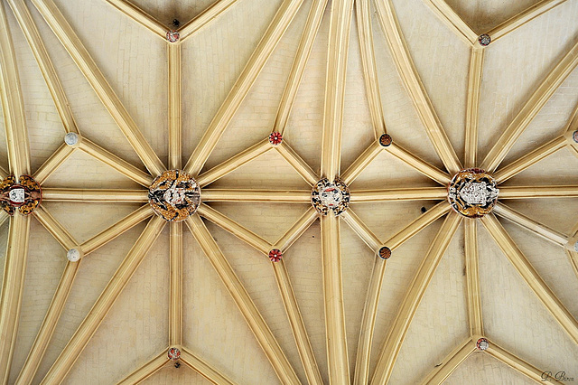 Voûtes de l'église Saint-Martin de Nonancourt - Eure - Haute Normandie