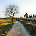 Weg im Westuferpark neben der Bahnstrecke Wanne-Eickel–Hamburg (Haltern am See) / 24.02.2019